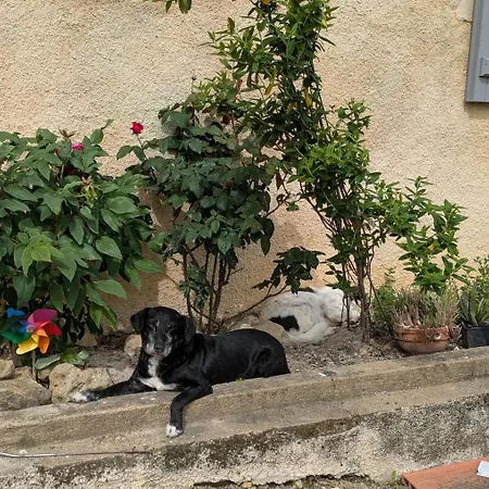 Au Marron Apartamento Seissan